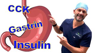 GI Hormones Made Easy  Insulin Gastrin CCK Glucagon and others [upl. by Annav]