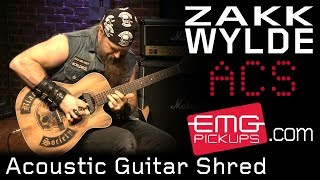 Zakk Wylde unbelievable acoustic guitar shred on EMGtv [upl. by Bartholomew]