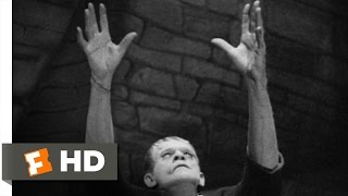 Frankenstein 38 Movie CLIP  Meet the Monster 1931 HD [upl. by Ram]