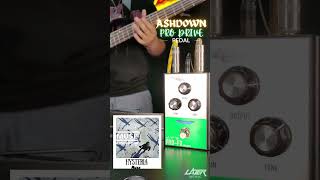 Elevate your bass playing to the next level with Ashdowns new Pro Drive pedal 🎸 [upl. by Rosel417]