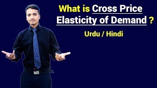 Cross Price Elasticity of Demand  Cross Demand With Example  Urdu  Hindi [upl. by Alina234]