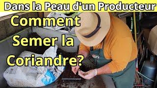 Comment Semer la Coriandre en Micro Motte [upl. by Iruj]