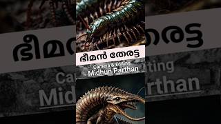 Arthropleura malayalamshorts shortvideo [upl. by Harutak]