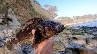 Catching Keeper Rockfish From the Beach [upl. by Sherrill959]