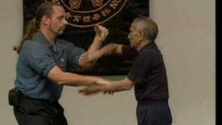 Ip chun chi sau Shaun Rawcliffe and otherswmv [upl. by Ahsenyl]