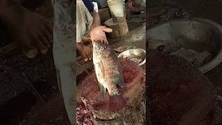 Amazing Big Tilapia Fish Cutting Skills Live In Fish Market 8shorts [upl. by Ellekcim998]