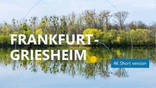 4K FrankfurtGriesheim Germany  Lake  Nature  Blissful  Walking around [upl. by Dugald]