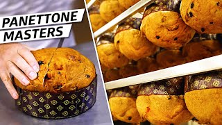 How a Master Italian Baker Creates The Perfect Panettone — The Experts [upl. by Ko929]