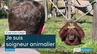 Cest mon métier  soigneur animalier [upl. by Magner]