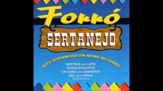 CD FORRÓ SERTANEJO  VOLUME ÚNICO 1999 [upl. by Forester711]