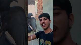 Majedar tiktok video achcha Laga to like subscribe kar dena [upl. by Valsimot]