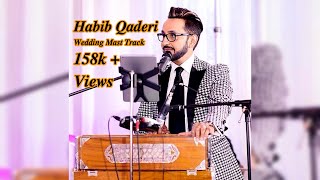 Habib Qaderi Live Wedding Songs MAIDA MAIDA  DUNYA GOZARAN  MAZA DARA Afghan Mast Dance Track [upl. by Lenroc]