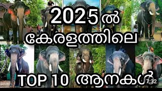 Top 10 elephants in kerala 2025 malayalam  കാളിയുടെയും ശിവരാജുവിന്റെയും അഴിഞ്ഞാട്ടം [upl. by Neisa609]