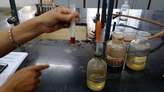 How to detect Amino NH2 functional group  STD XII chemistry practical [upl. by Featherstone]