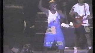 Reggae Sunsplash 91 clip Cutty Ranks Tiger Mad Cobra [upl. by Hallock458]