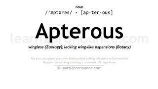 Pronunciation of Apterous  Definition of Apterous [upl. by Blau]