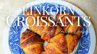 Einkorn Croissants  Sourdough Croissants  Ancient Grains Baking  Einkorn Flour Recipes [upl. by Benjy]