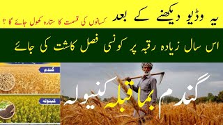 Which Crop is More Profitable  Wheat Vs Canola  Aamir Hussain [upl. by Ydieh]