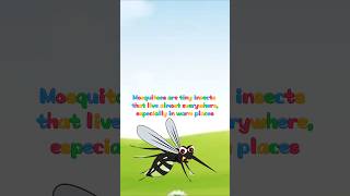 Getting to Know Mosquitoes Habitat Food and Behavior in the Wild  shorts animals fauna [upl. by Lsiel]