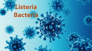 Educational Video Lets Learn about Listeria infectiousdisease disease bacteria [upl. by Laughry]