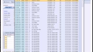 SAP Financial Accounting [upl. by Stefania875]