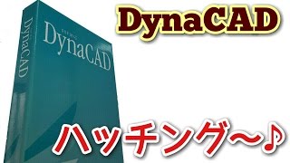 DynaCADの使い方 ハッチング編 voｌ11 [upl. by Isbel]