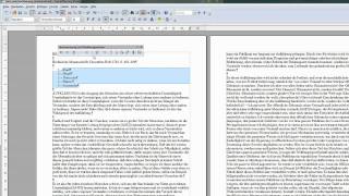 30 Nummerierungen und Aufzählungen in einem Text  OpenOffice  LibreOffice Writer [upl. by Melissa51]