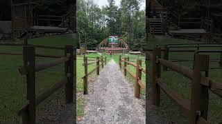 Gobblers Knob Punxsutawney Phil punxsutawneyphil [upl. by Nordna163]