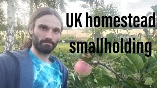 UK homesteading smallholding [upl. by Calvin]