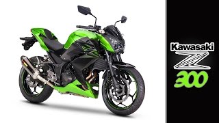 Kawasaki Z300 Review en Español [upl. by Pohsib]