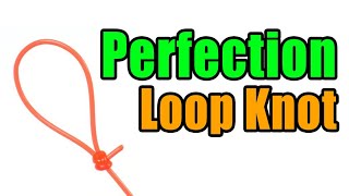 Perfection Loop Knot  Strong Easy Leader To Line Loop Knot  Best Fishing Knots [upl. by Kym]