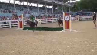 Shetland Pony Steeplechase at the Devon Horse Show [upl. by Mead]