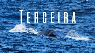 Visiting Terceira Azores  Blue Whales and Landscapes [upl. by Adnamal]