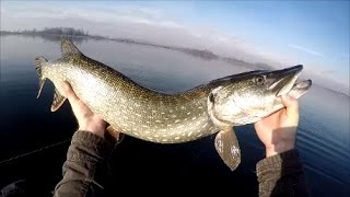 Pêche du brochet en hiver  La récompense [upl. by Yanehs]