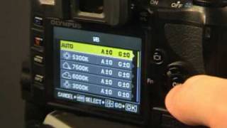 olympus e420 camera settings and controlsmpg [upl. by Assert]