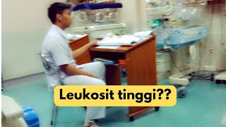 leukosit tinggi jangan bingung [upl. by Dleifrag]