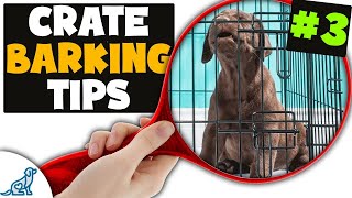 AVOID The Hardest Part Of Puppy Crate Training [upl. by Mickie]