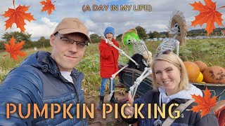 VLOG🇬🇧FORDINGBRIDGE PYO Pumpkins picking🎃Haloween Maze The RENGE шопингнасыщенный день12 10 24 [upl. by Fidelia]