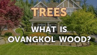 What Is Ovangkol Wood [upl. by Yanat121]