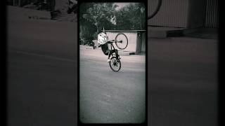 👹👹👹 mtbstunt cyclestunt shorts videos likesubscribe comments [upl. by Narret]