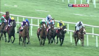 Leopardstown highlights 28th December 2015 [upl. by Nivert]