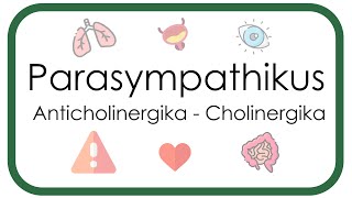 Parasympathikus – Pharmakologie Anticholinergika Atropin Scopolamin  Cholinergika Neostigmin [upl. by Eimat]