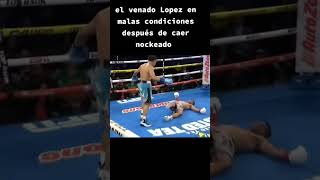 Venado Lopez Noqueado “Donde Estamos” angeloleo venadolopez [upl. by Rodoeht777]