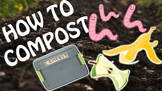 How To Compost At Home [upl. by Brucie]