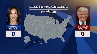 How does the electoral college work [upl. by Aleka]