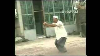 MengCun BajiQuan  tribute to Wu HuanCai [upl. by Tlok]