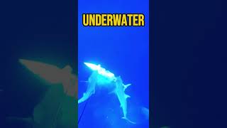 🦈 Spearfishing Gone Wrong Sharks Steal the Catch shorts fishingvideo shark [upl. by Harehs187]