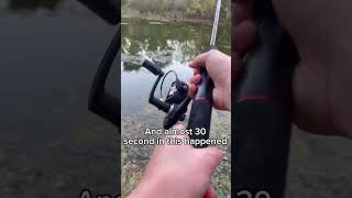 Best bait fish pan fishing Fish Fishing Secret Pond Bluegill Powerbait Fin Subscribe [upl. by Asiret]