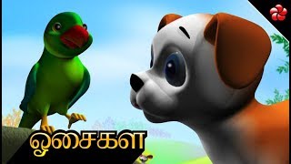 ஓசைகள் ♥ Sounds Song ★ PUPI Tamil cartoon nursery song for children [upl. by Analed]