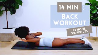 14 MINUTE BACK WORKOUT FOR STRONGER BACK  BETTER POSTURE  NO EQUIPMENT  BEGINNER  INTERMEDIATE [upl. by Akimas147]